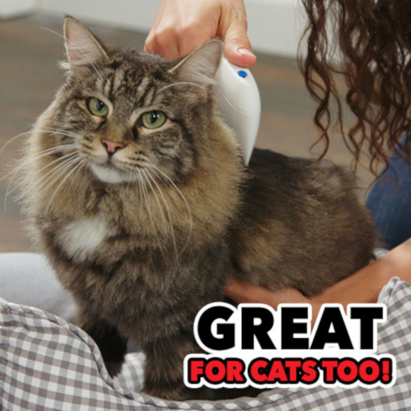 Flohkamm für Haustiere