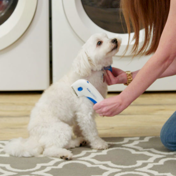 Flohkamm für Haustiere