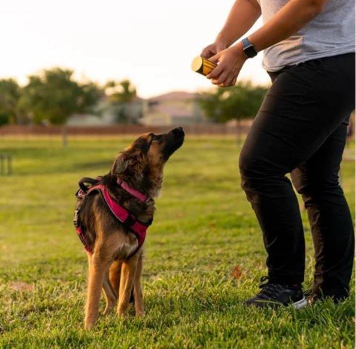 MULTIFUNKTION 3 IN 1 BÜRSTE